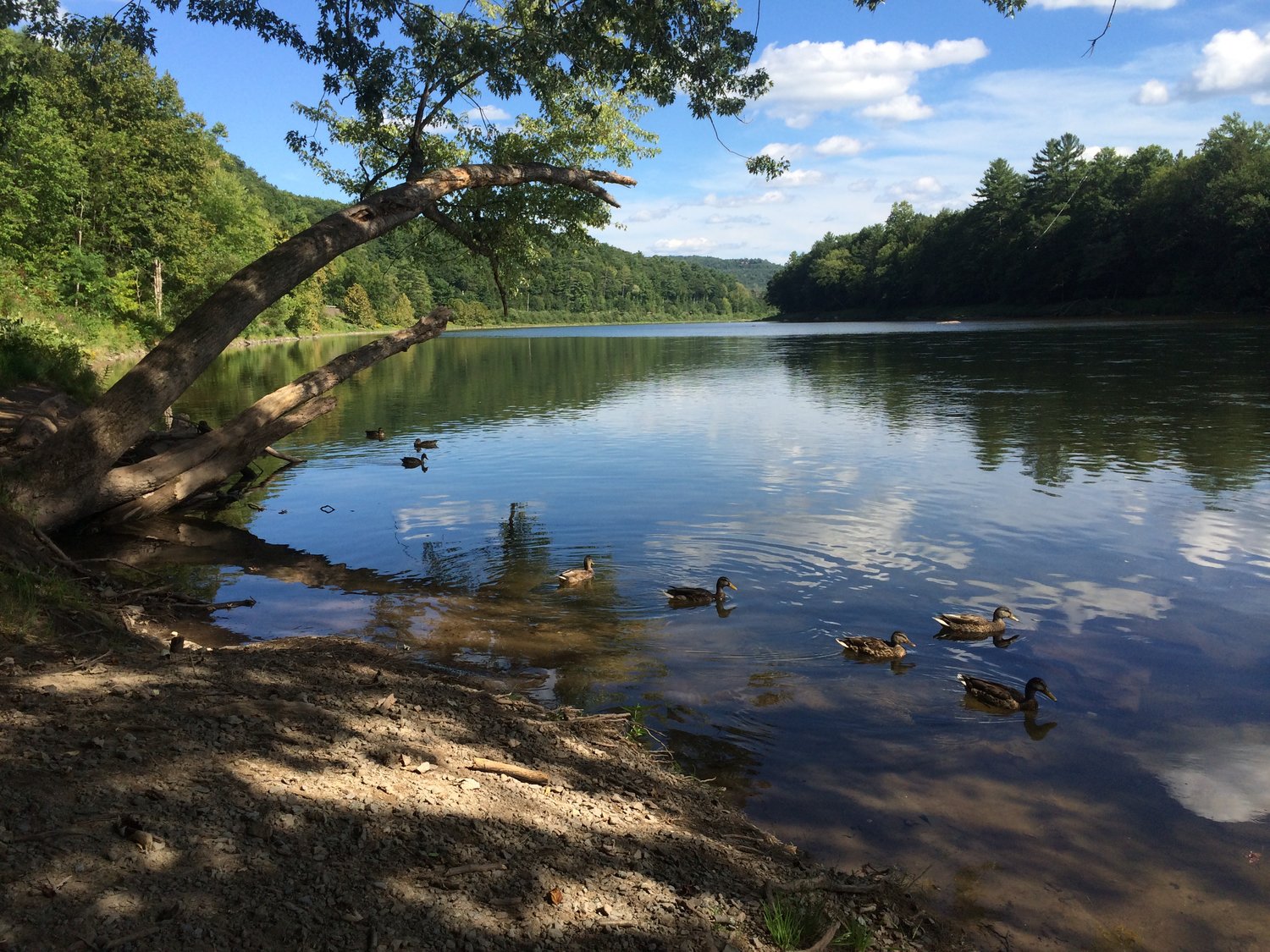 I’m #Grateful4theDelaware because it enlivens my senses and restores my spirit. The Delaware River has stirred stewardship, awakened activism and brought together individuals and communities over issues that, like the waterway itself, change over time.